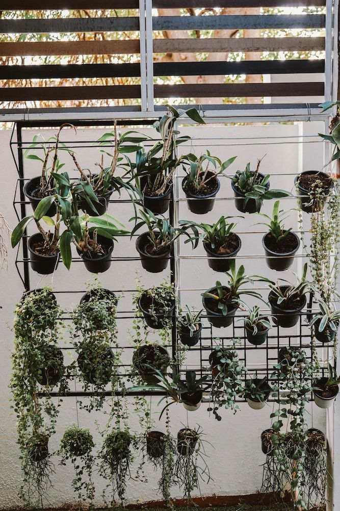 undefined W Living 3