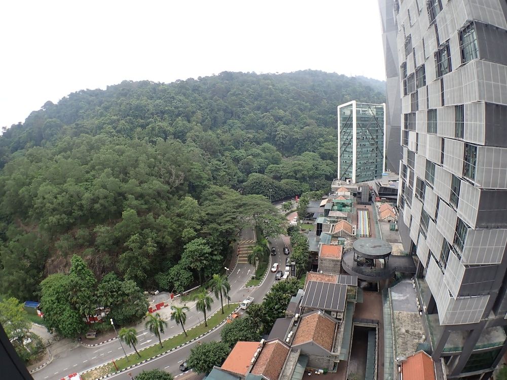 View From Room