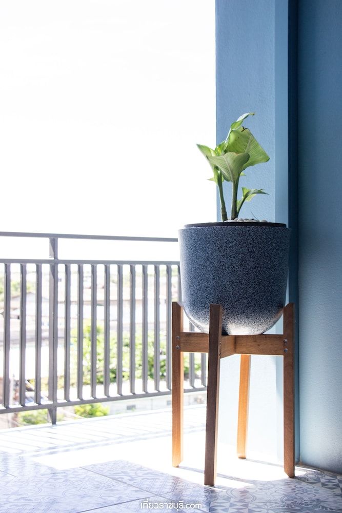 Is Am Are Stay Boutique Premier Twin Room 5