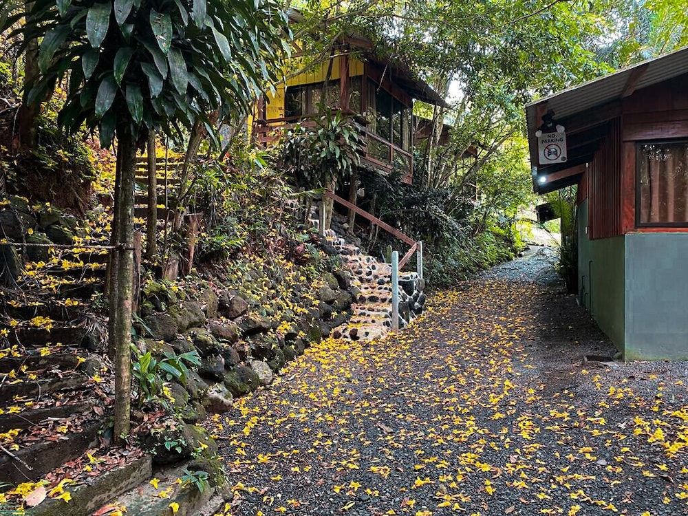 undefined Cabañas del Lago 8