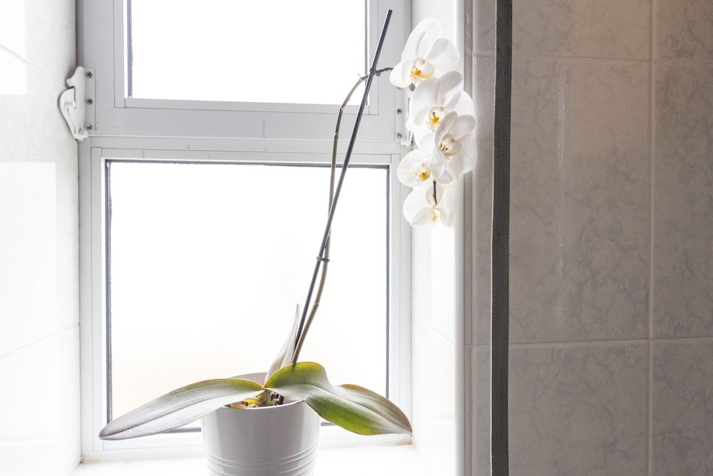 My Way Kite & Surf House Double Room 7