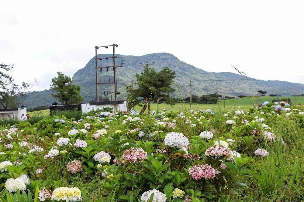 undefined Windy Hills Holiday Bungalow 3