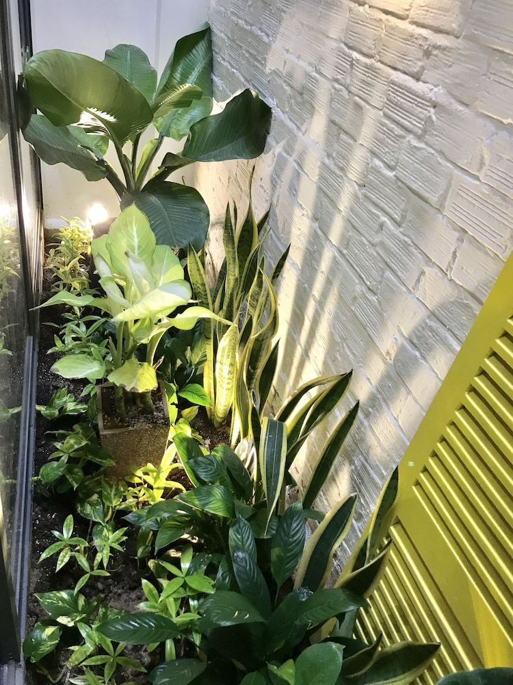 undefined Uri House 2