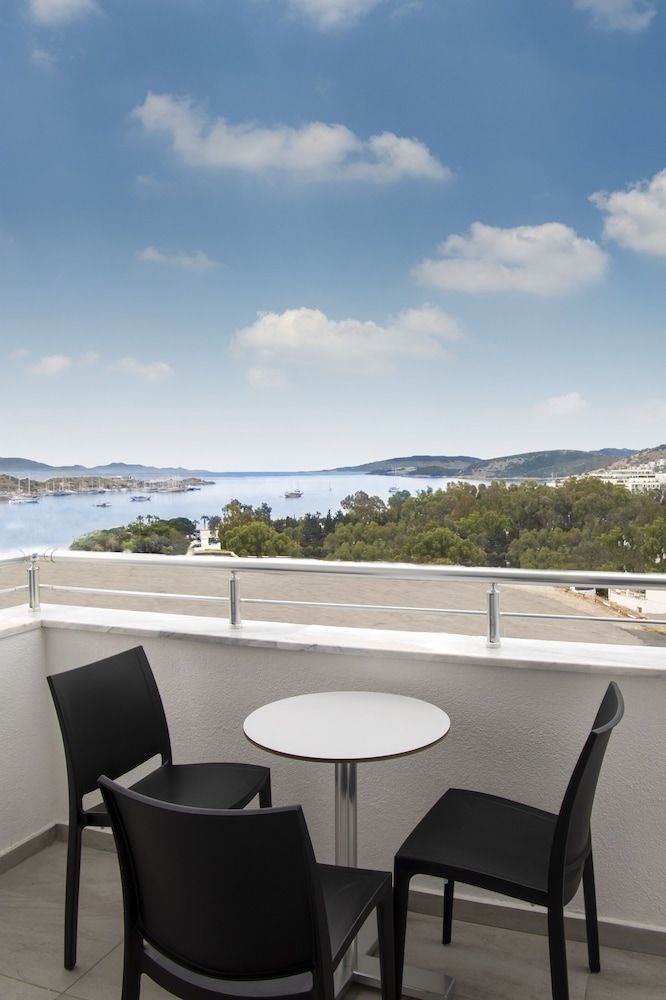 Shark Club Hotel Standard Room 6