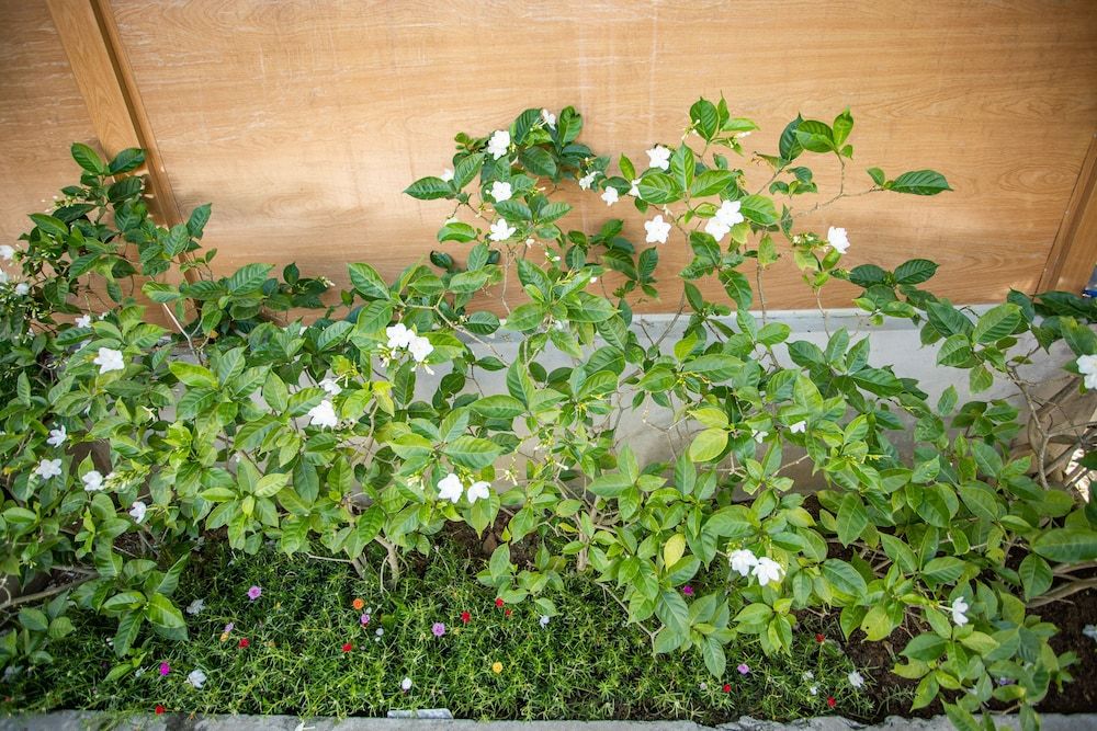 undefined Linh Dan Bungalow 8