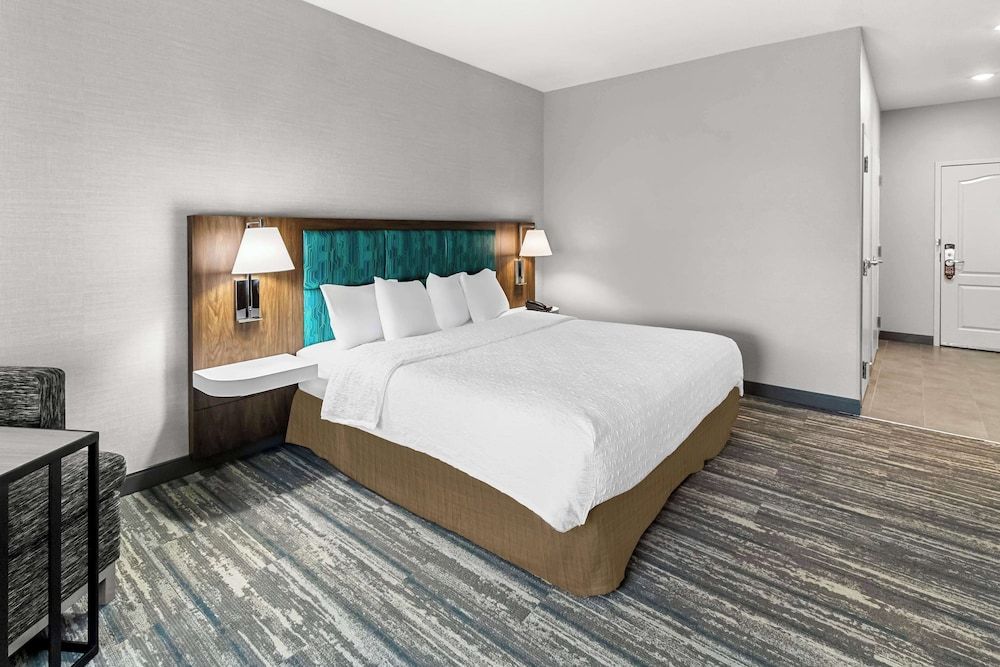 Handicap Accessible, Non-Smoking, Single King Room