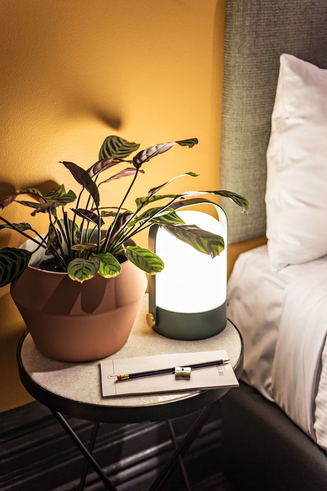 The Jensen Potts Point Triple/ Twin Room, Multiple Beds, Non Smoking, Shared Bathroom 6