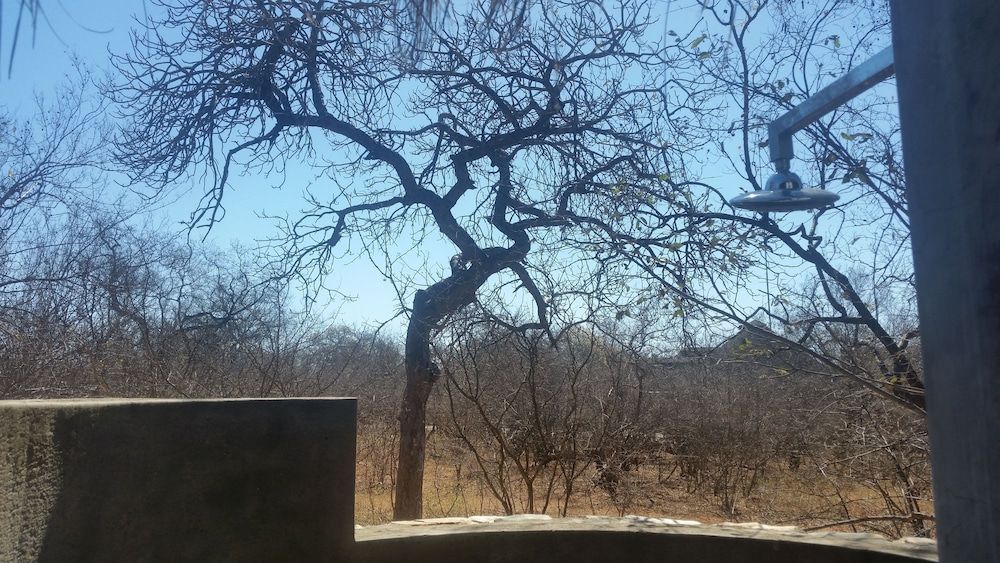 Call of the Wild Lodge Deluxe Room, Garden View 6