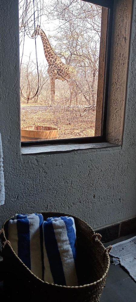 Call of the Wild Lodge Deluxe Room, Garden View 12