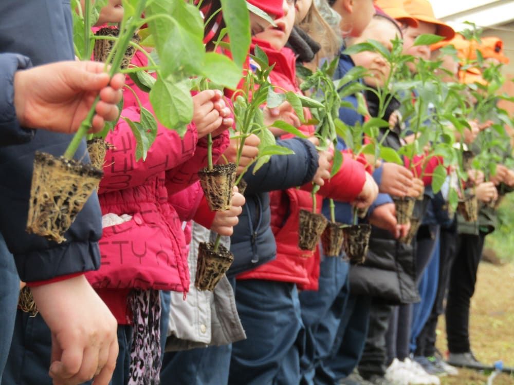 Children's Play Area