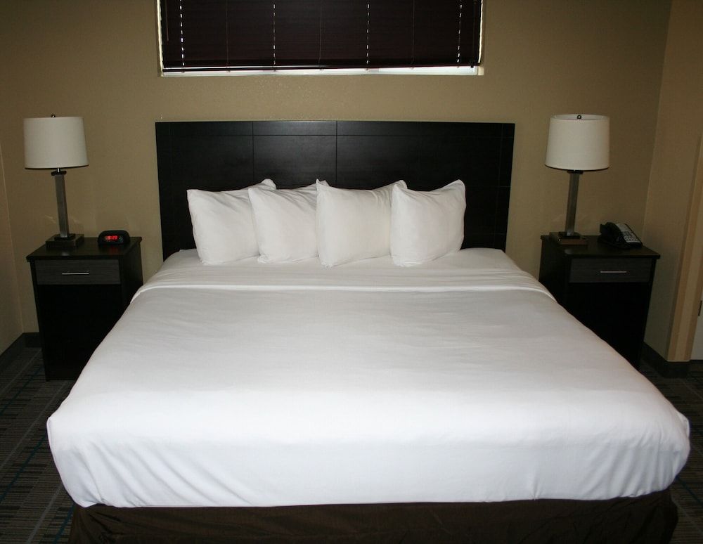 Suite, 1 King Bed with Sofa bed, Accessible, Non Smoking (Efficiency, Upgrade)