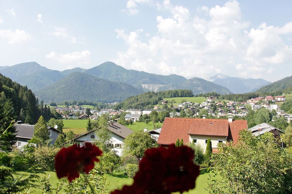 Pan Haus Bad Ischl Single Room, Mountain View 4