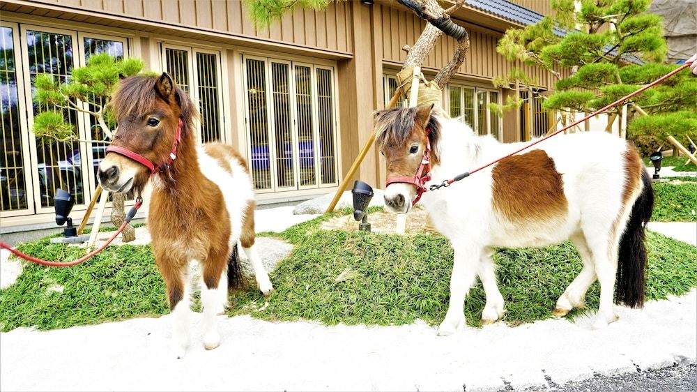 Children's Play Area