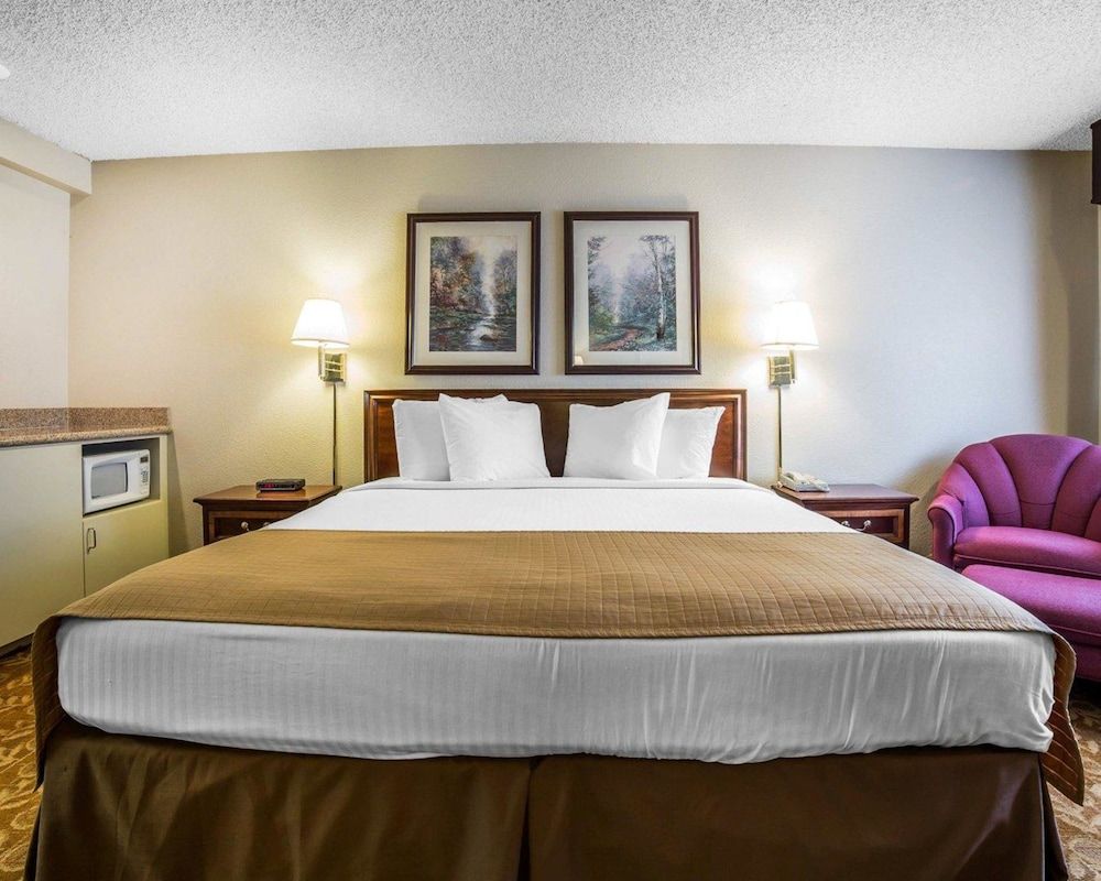 Quality Inn & Suites Minden Standard Room, 1 King Bed, Non Smoking 3