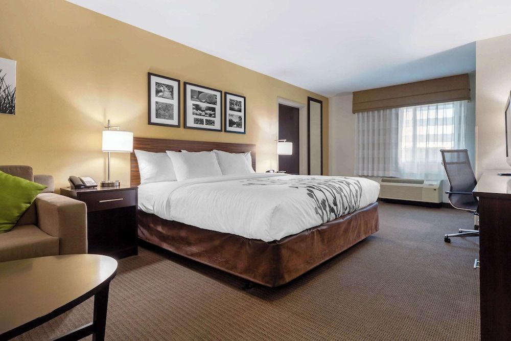 Suite, 1 King Bed with Sofa bed, Accessible, Non Smoking
