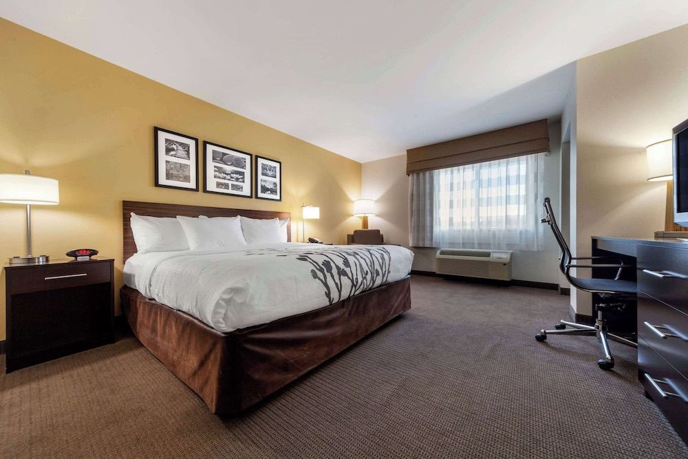 Room, 1 King Bed, Accessible, Non Smoking