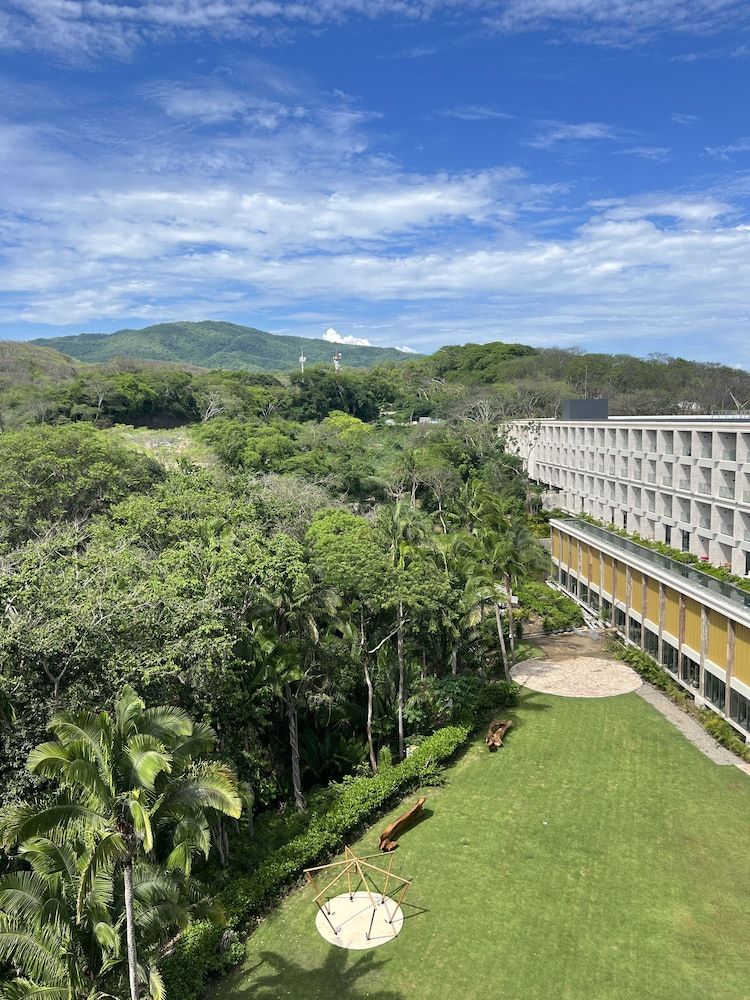 Junior Suite Tropical View King