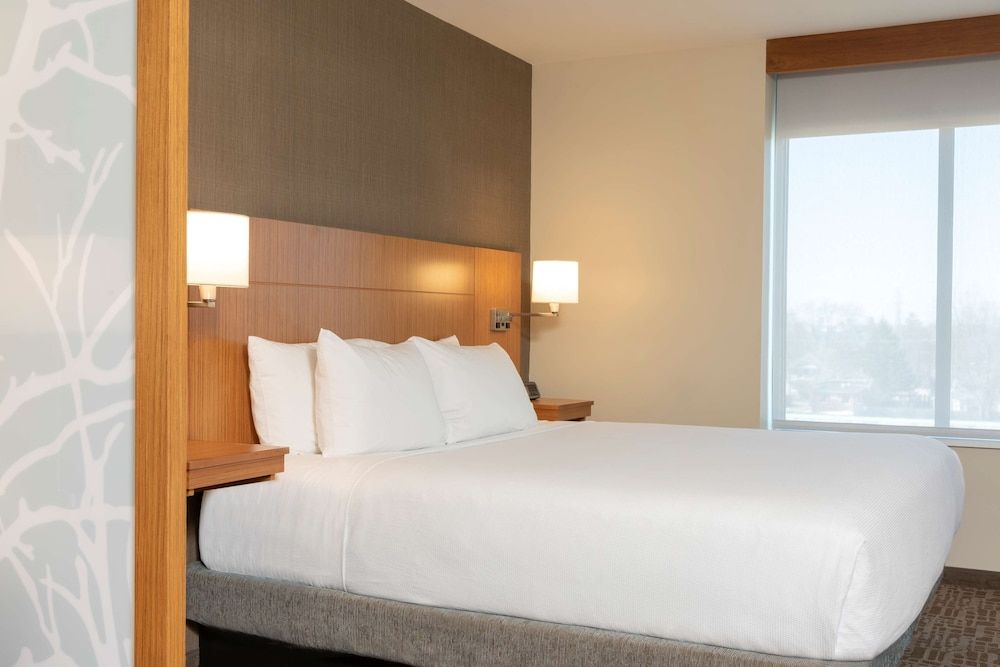 Room, 1 King Bed with Sofa bed