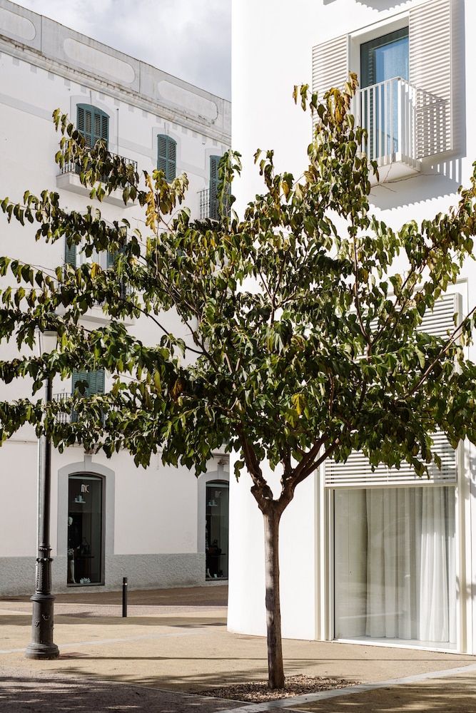 undefined The Standard, Ibiza 8