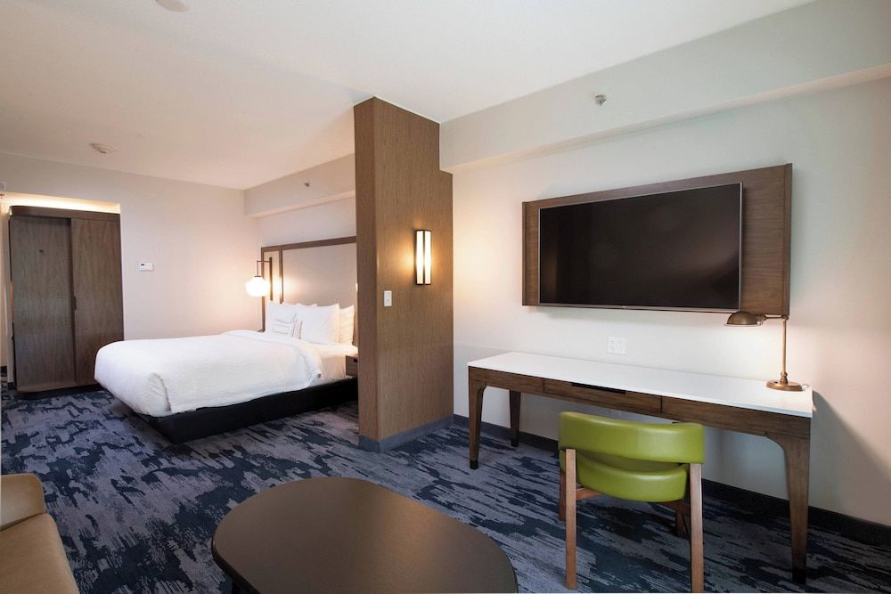 Suite, 1 King Bed with Sofa bed