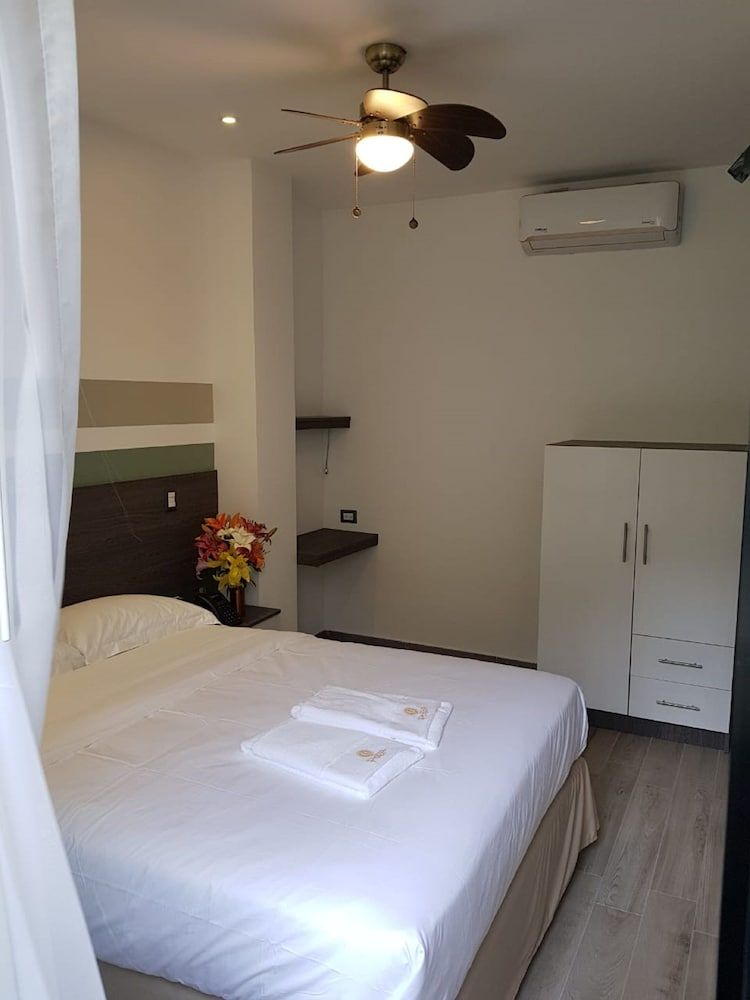 Hotel Cultura Plaza Standard Double Room 15