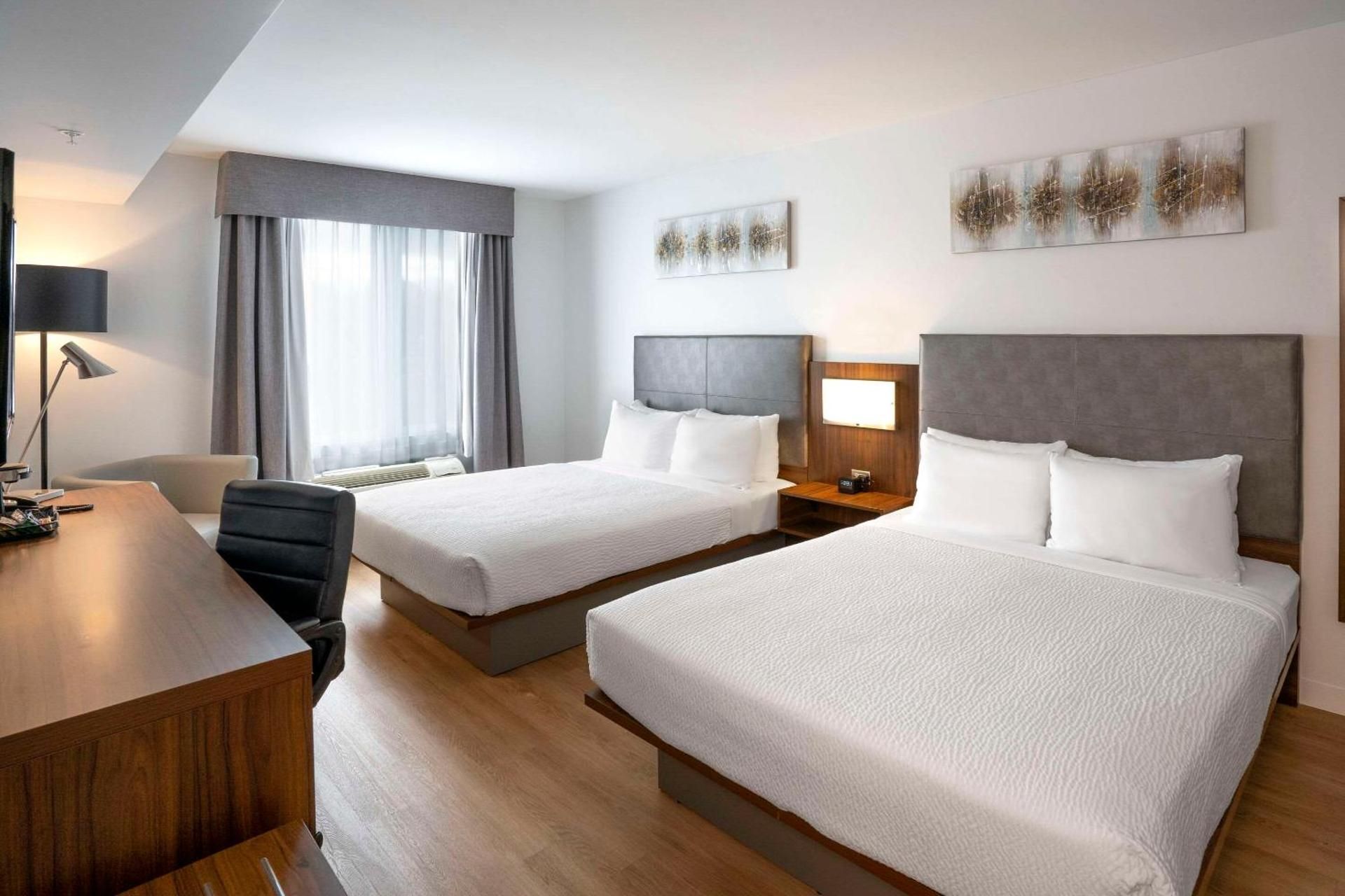 2 Queen Beds, Nonsmoking