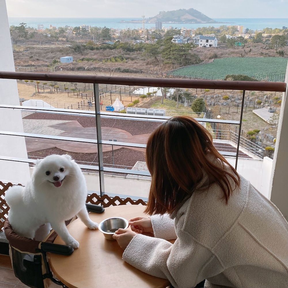 undefined Hi Jeju Hotel