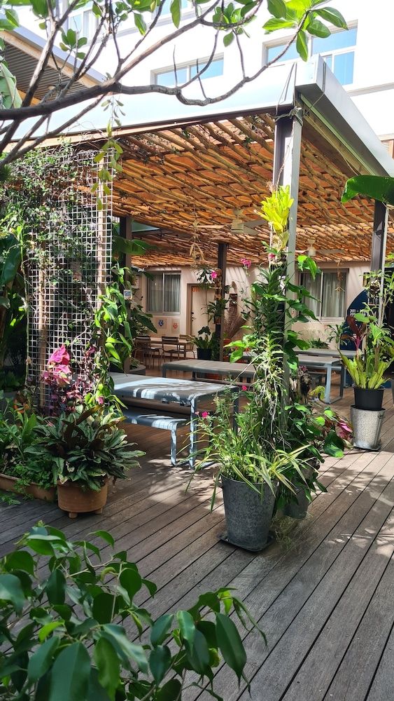 Hôtel Gondwana - City ART Economy Double Room (208) 6