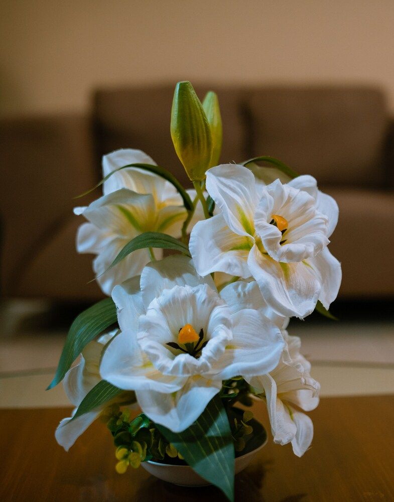 Crismon Hotel Classic Room, 1 Bedroom, Pool View 12