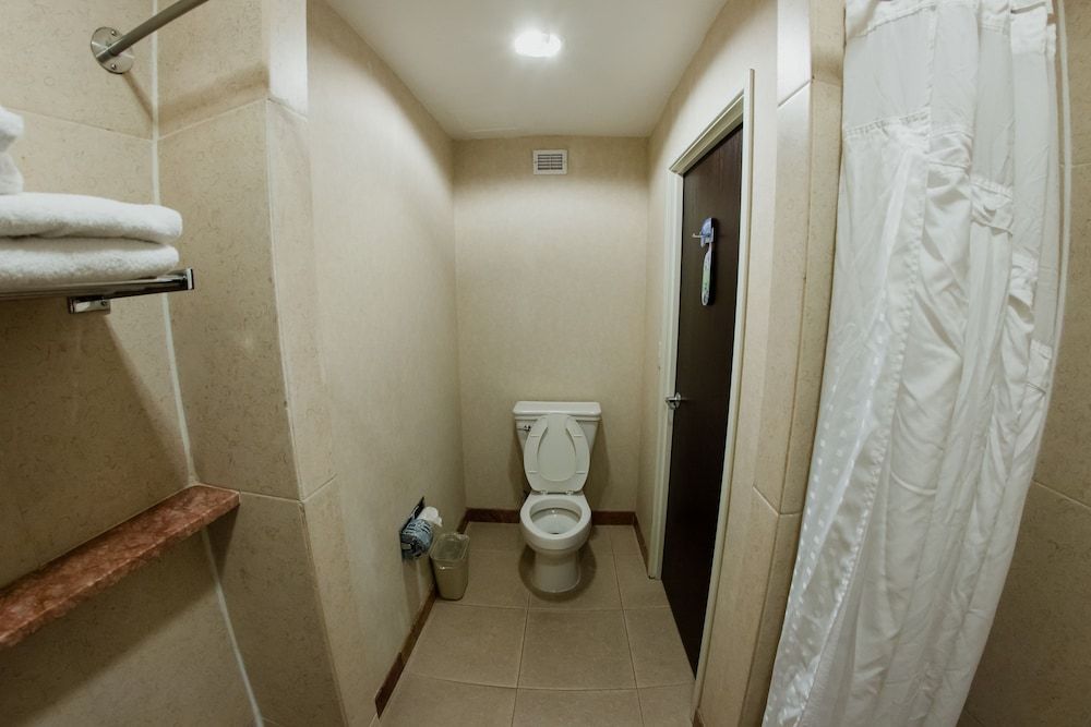 Excellence Express San Juan del Río Standard Room, 2 Double Beds 7