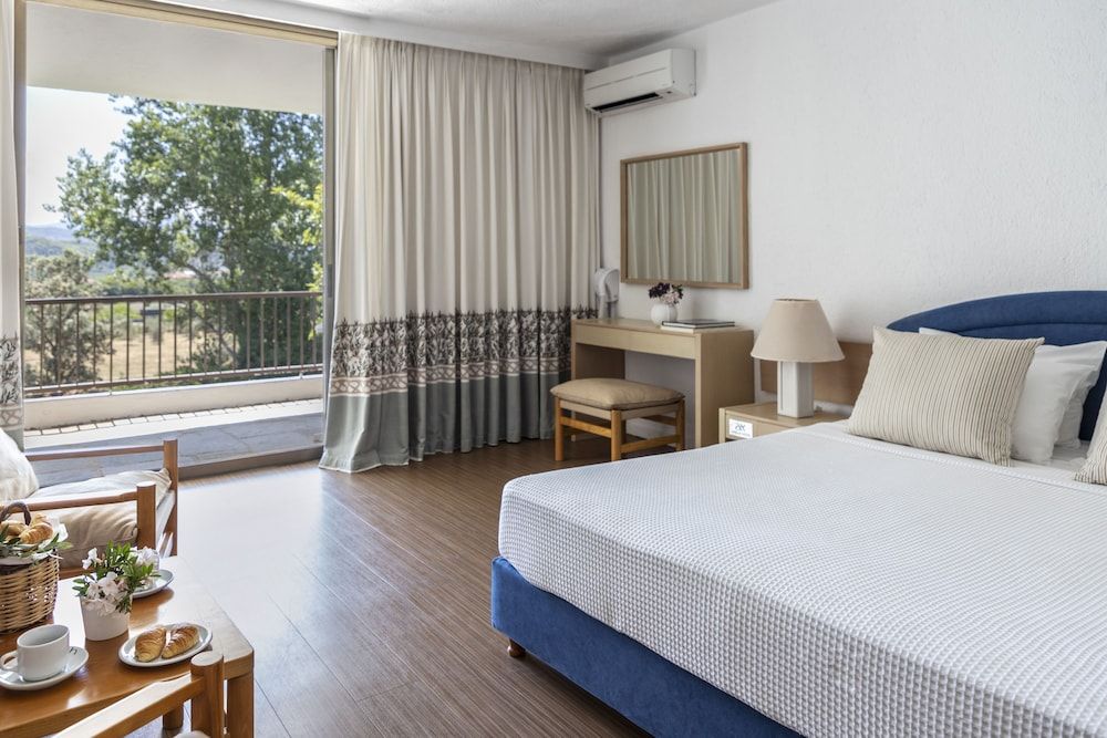 Hotel Amalia Olympia Classic Double Room 2
