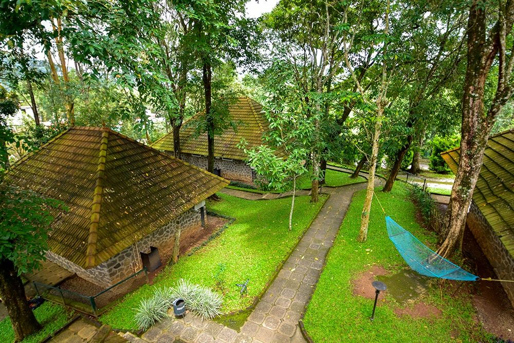 undefined Hotel Treetop 2