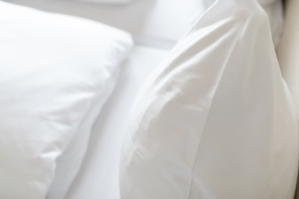 Logierhaus Rosa-Lena Family Apartment 4