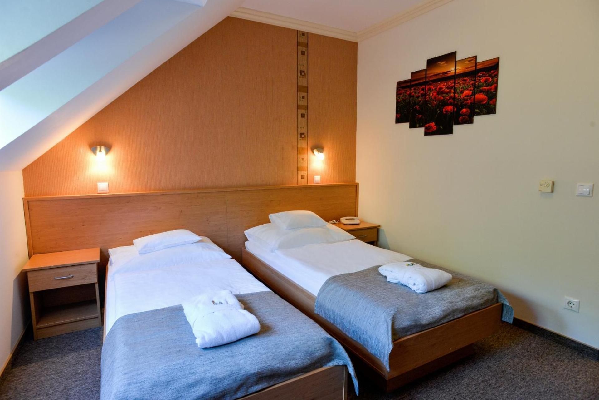 Budget Double or Twin Room