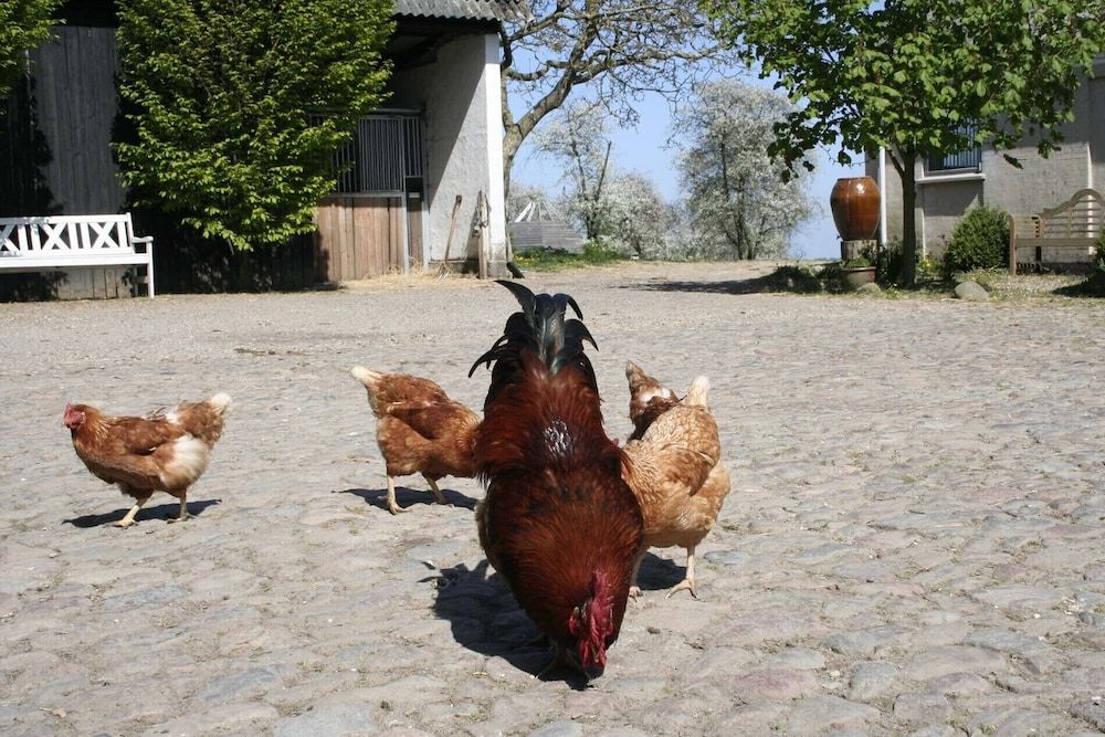 Children's Play Area