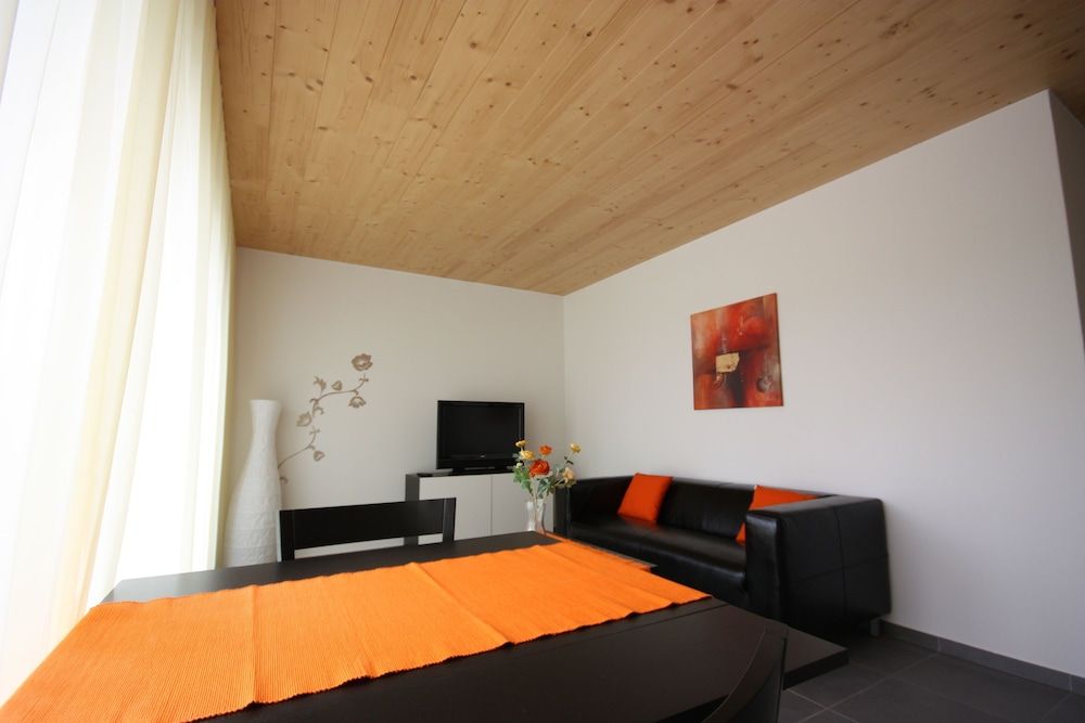 Swiss Star Oerlikon Station Apartment, 1 Bedroom, Kitchenette 3