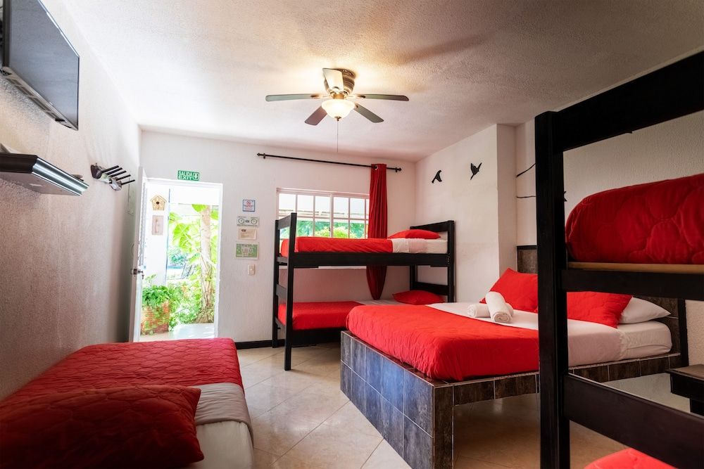 Family, Full and Bunk Bed, Courtyard or Garden View, Patio, BunkBed