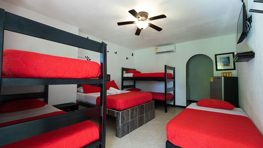 Family, Full and Bunk Bed, Courtyard or Garden View, Patio, BunkBed