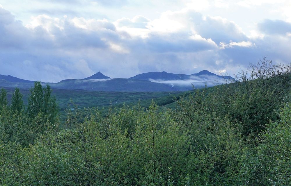 Miðdalskot Cottages Apartment, 2 Bedrooms (3A) 6