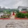 Papaya Guesthouse