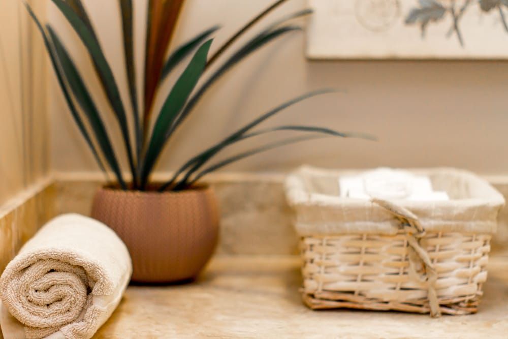 Pousada Chácara Aracê Traditional Double or Twin Room (Suite Bege) 10