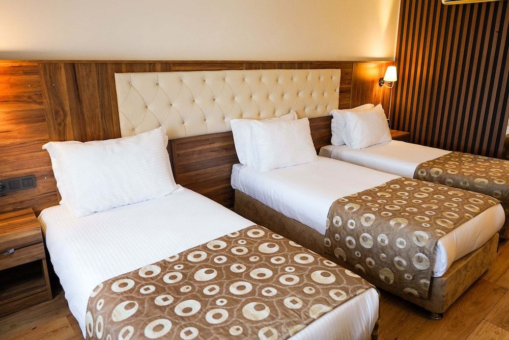 Emin Koçak Thermal & Spa - Convention Center Standard Triple Room 7