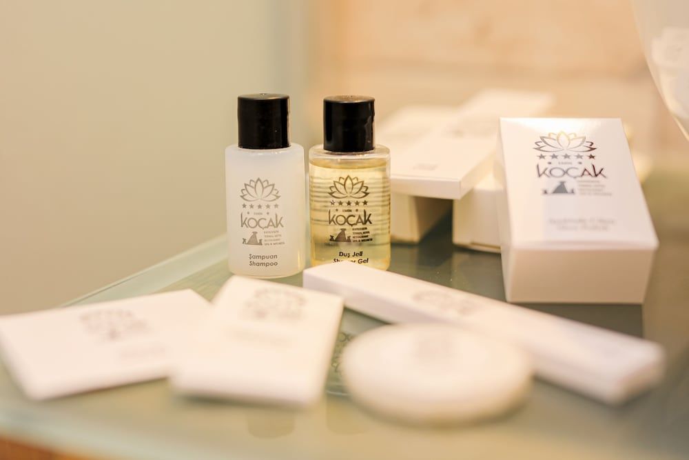 Emin Koçak Thermal & Spa - Convention Center Standard Twin Room (Accessible) 16