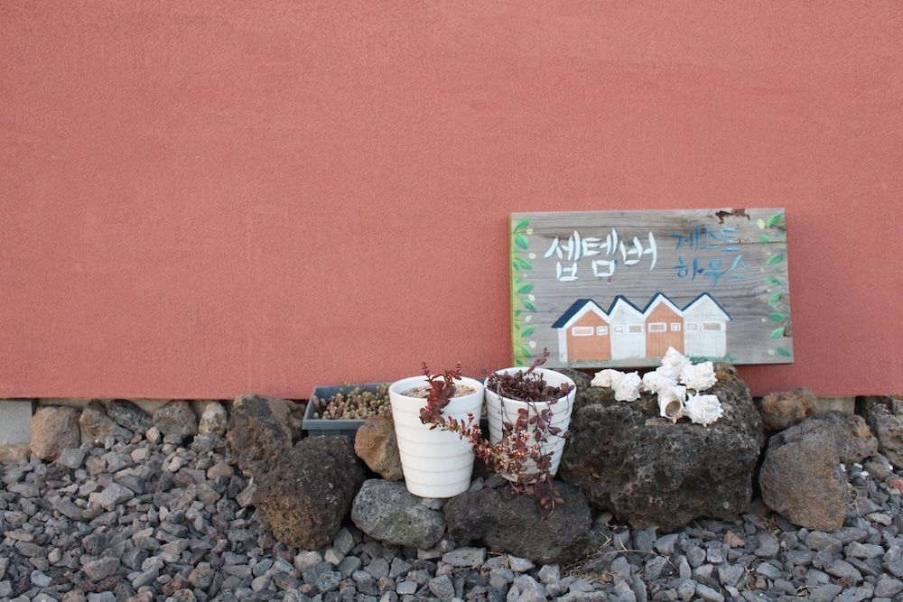 undefined September Pension 10