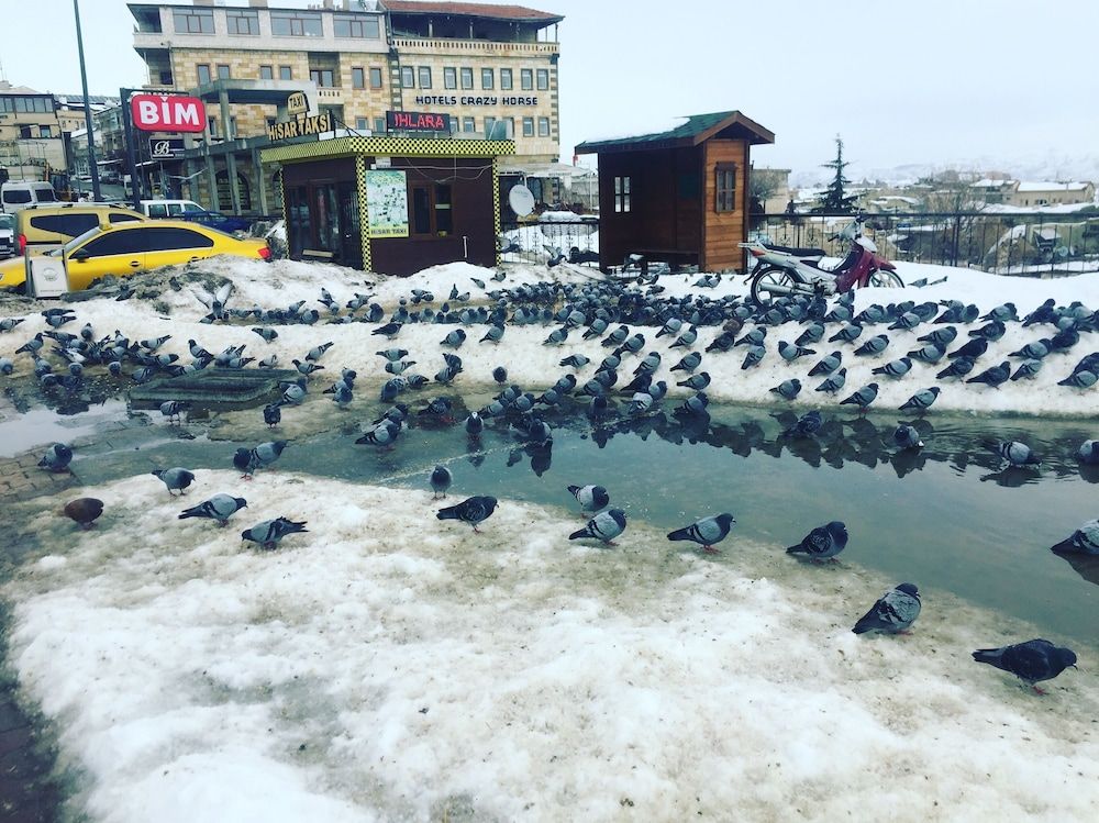 undefined Hotels Crazyhorse