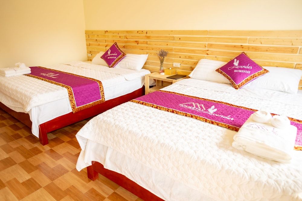 Tam Coc Lavender Homestay Standard Quadruple Room 4