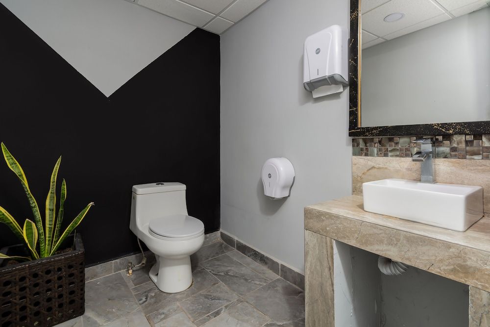 Hotel Plaza Regina Torreón Standard Double Room, 1 Double Bed 6