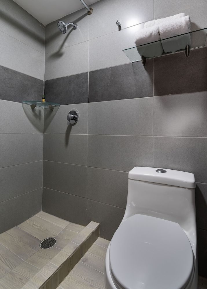 Hotel Plaza Regina Torreón Standard Double Room, 1 Double Bed 7