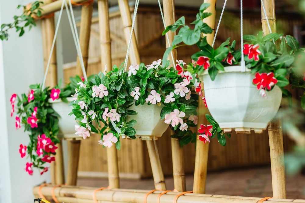 undefined Nan House 6