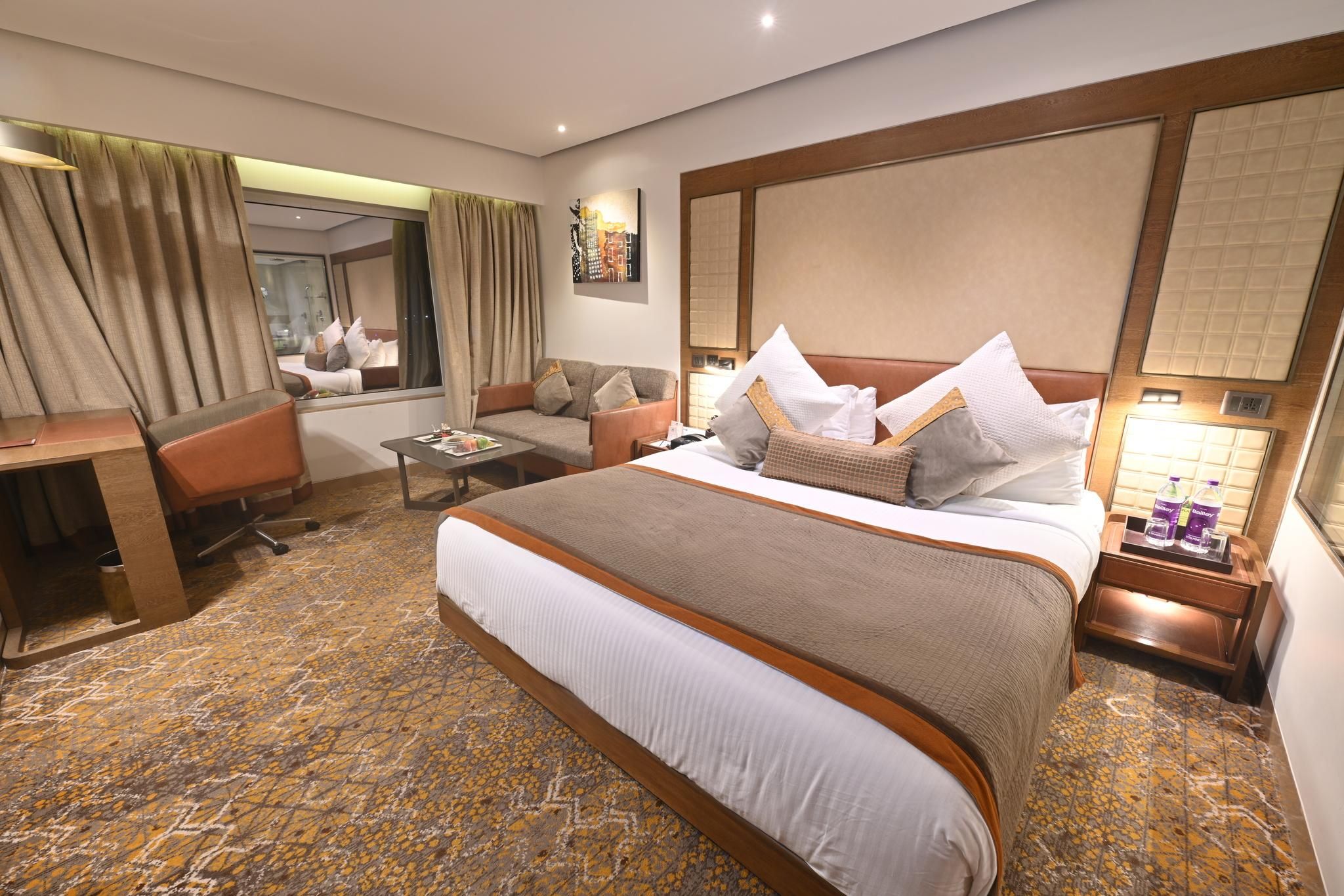 undefined Sayaji Indore 9